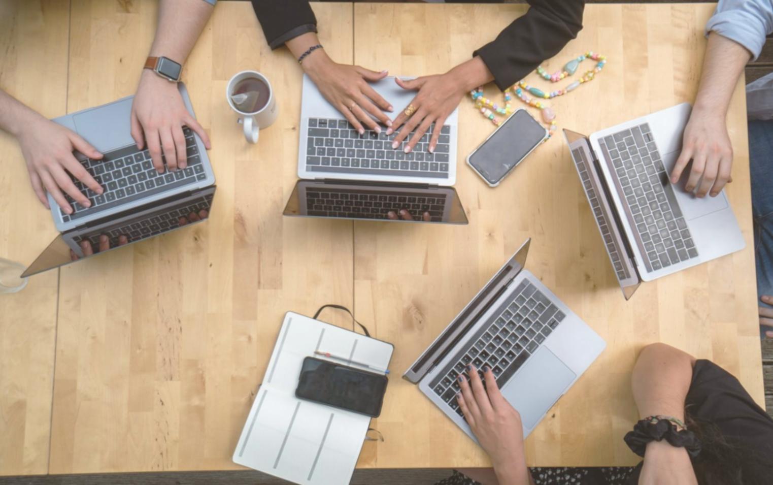 Session de formation interactive avec professionnels